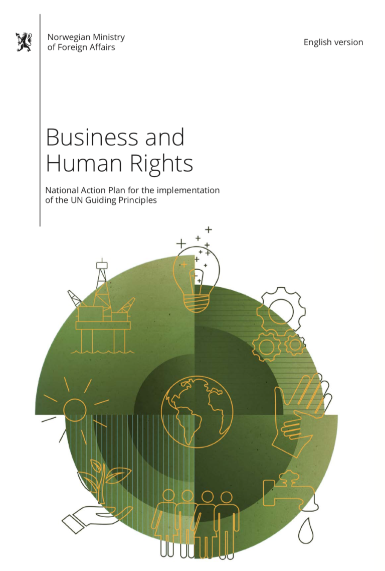 action plan on business and human rights